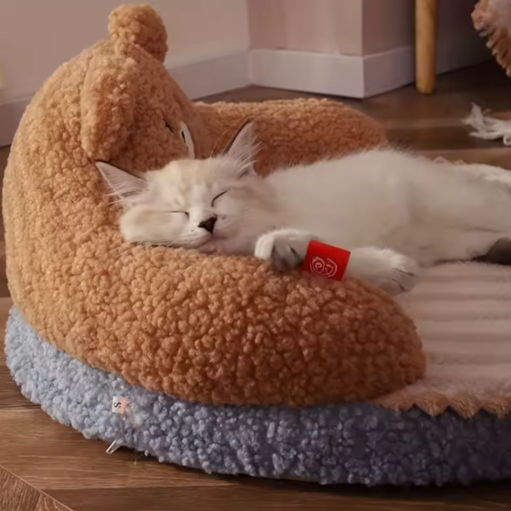 Cute Cat Bed for Small Cats | Soft Sleeping Couch