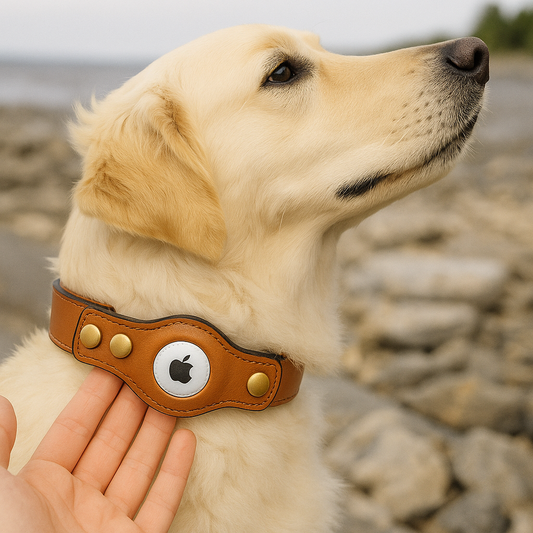 AirTag Dog Collar, Safe & Comfortable Tracking