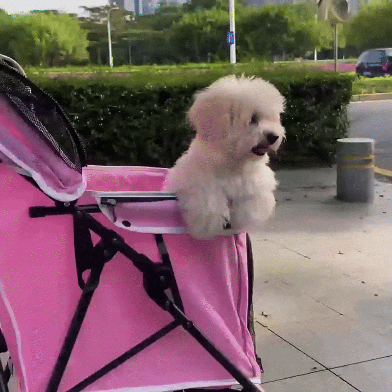 Foldable Pet Stroller Dog & Cat Wagon with Breathable Mesh & Cozy Seat